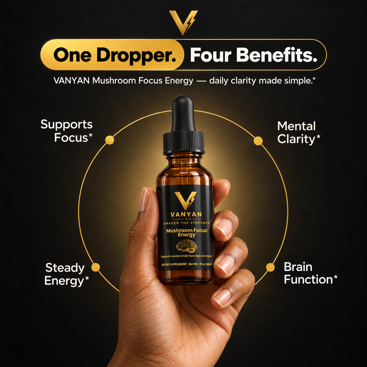 Mushroom Focus Energy