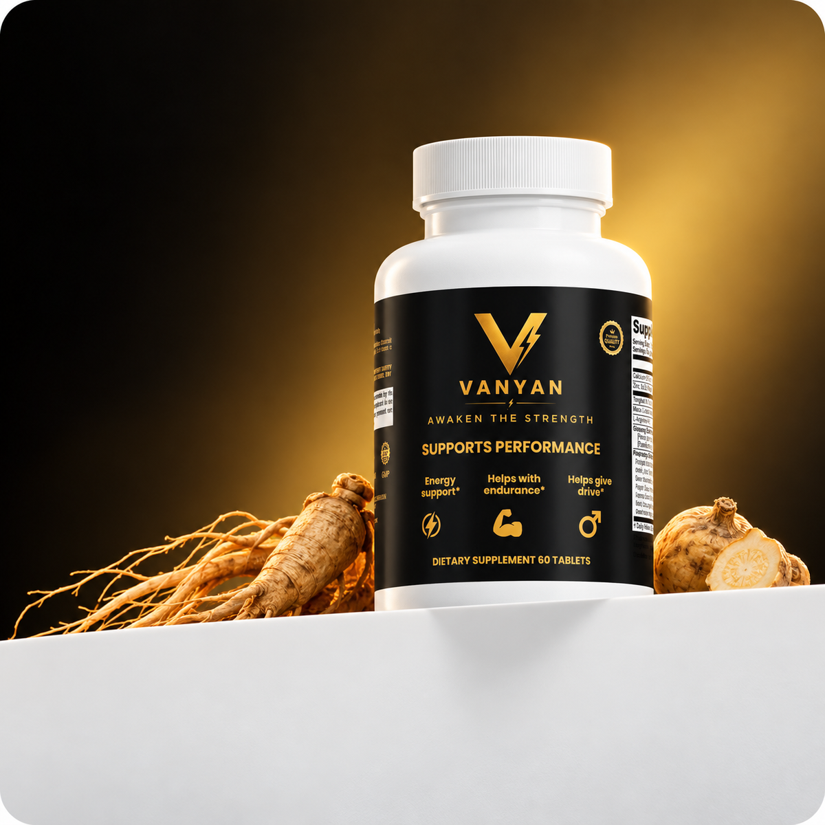 Athlete mid-session, VANYAN Performance Support nearby